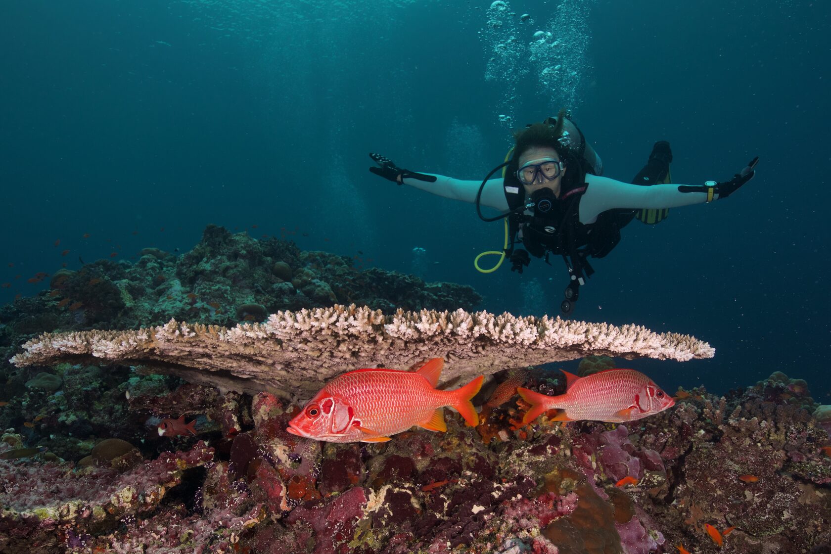 Саудовская Аравия, март 2025