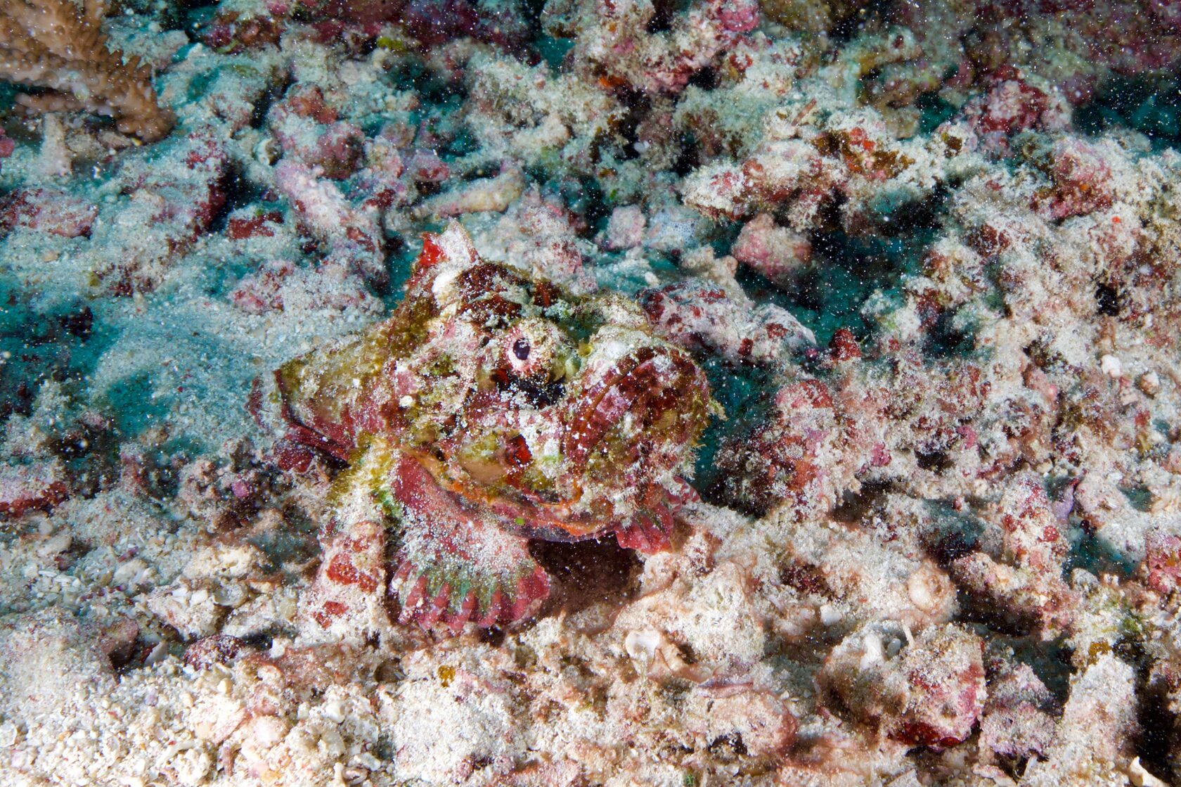 Саудовская Аравия, март 2025