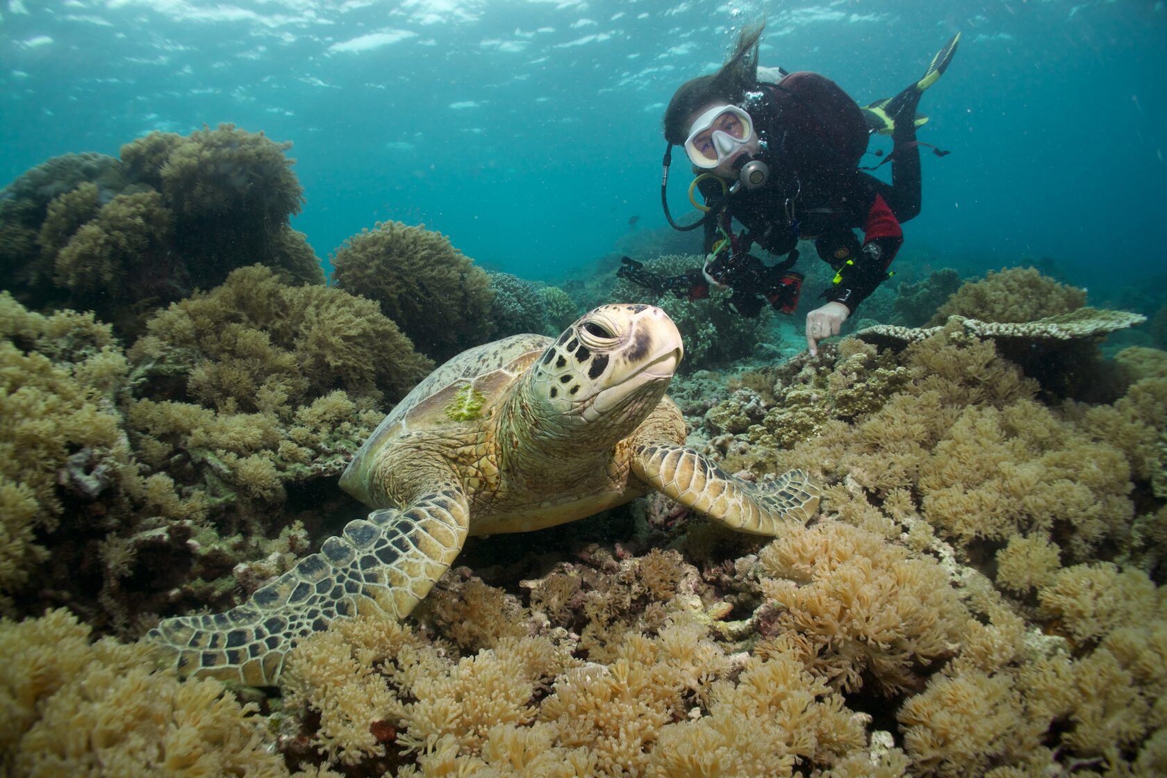 Сипадан, октябрь 2022