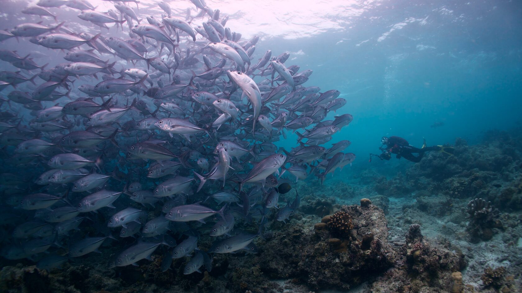 Сипадан, октябрь 2022