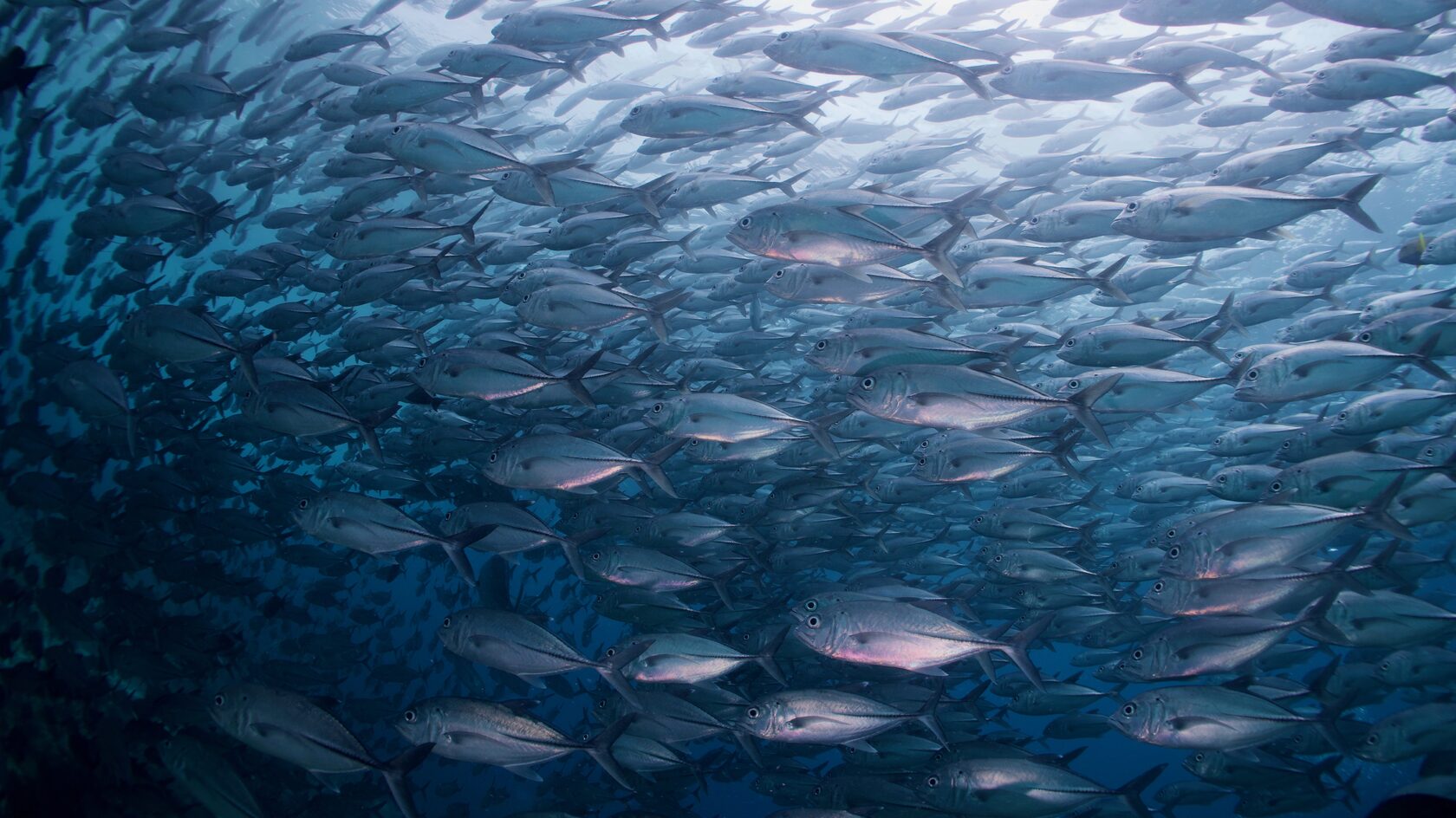 Сипадан, октябрь 2022