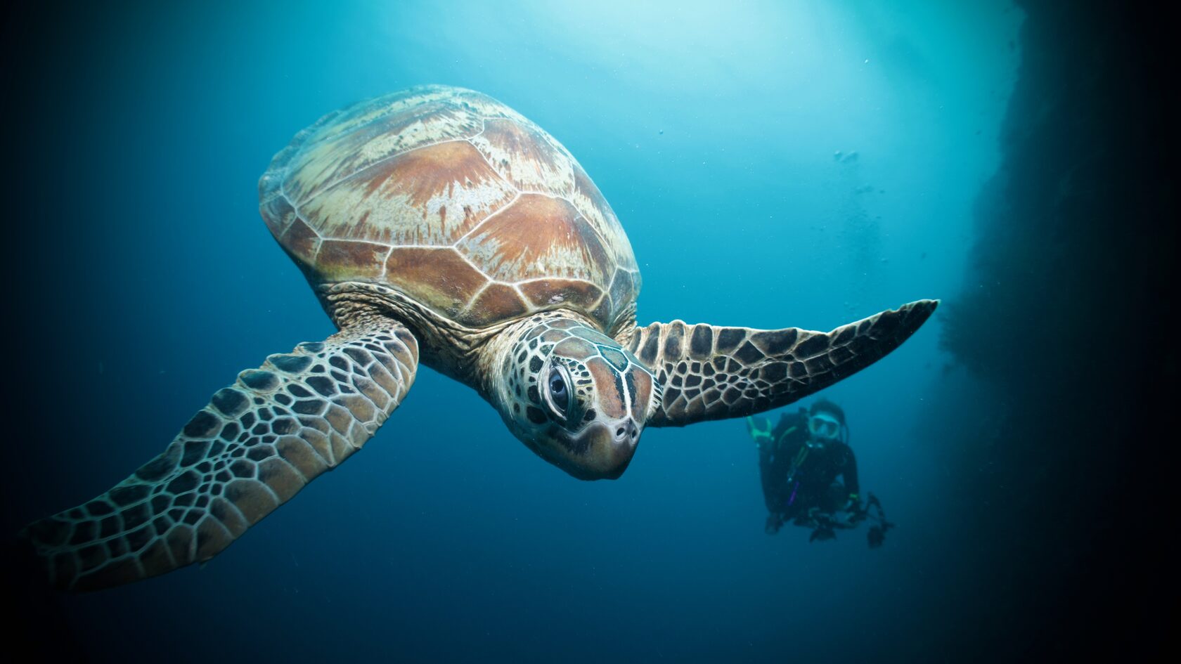 Сипадан, октябрь 2022