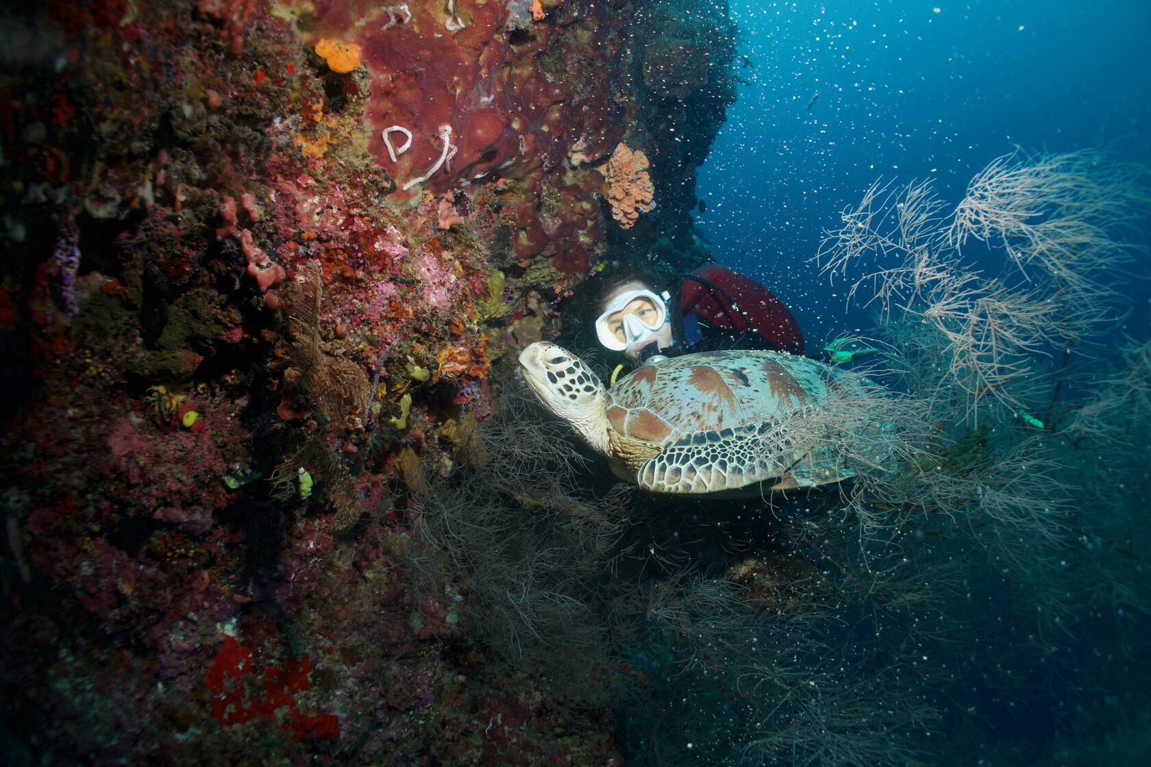 Сипадан, октябрь 2022