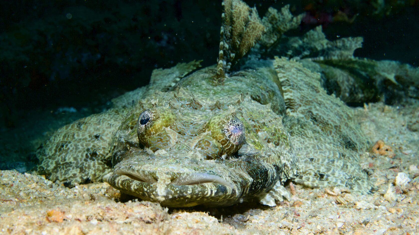 Сипадан, октябрь 2022