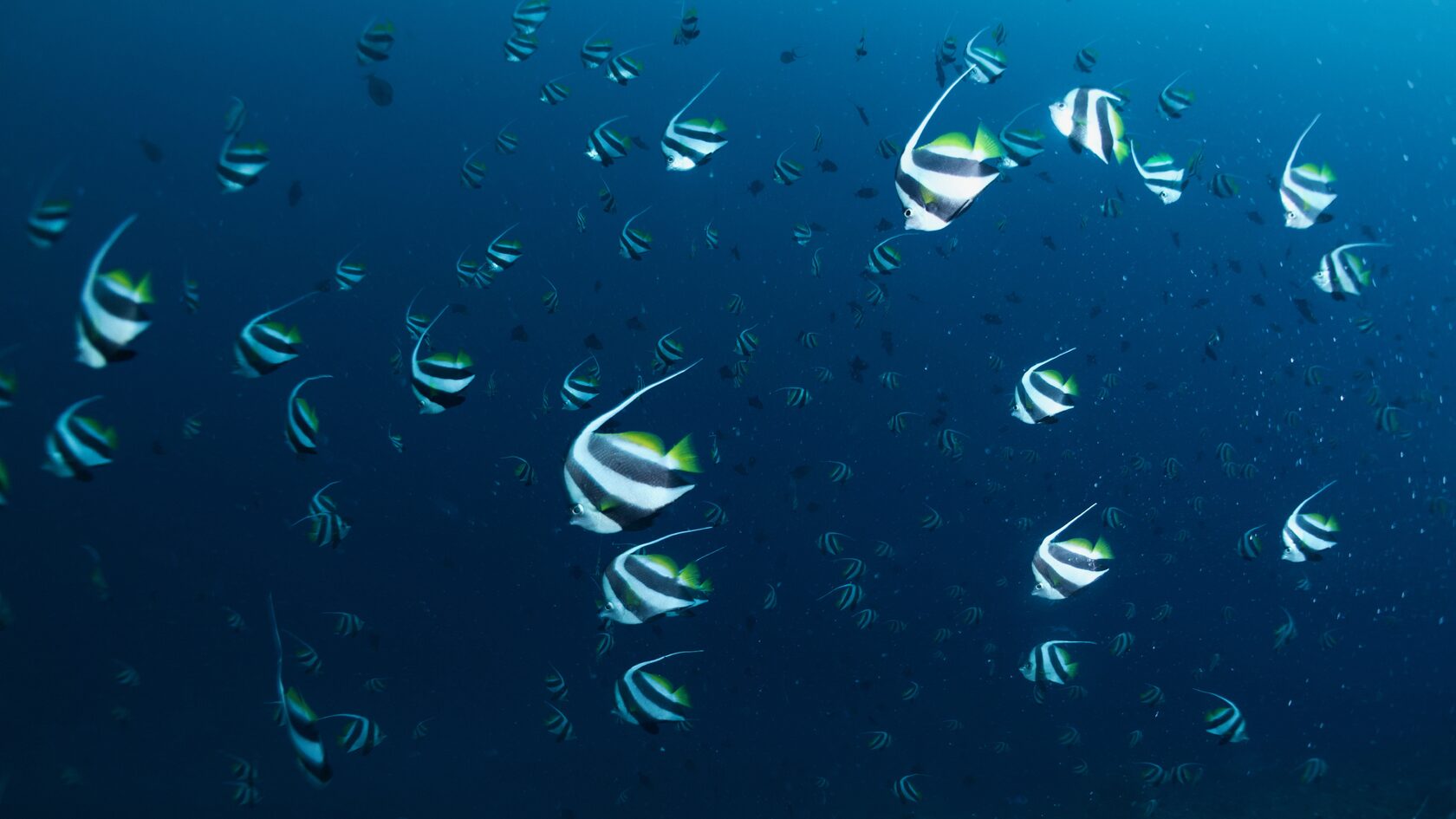 Сипадан, октябрь 2022