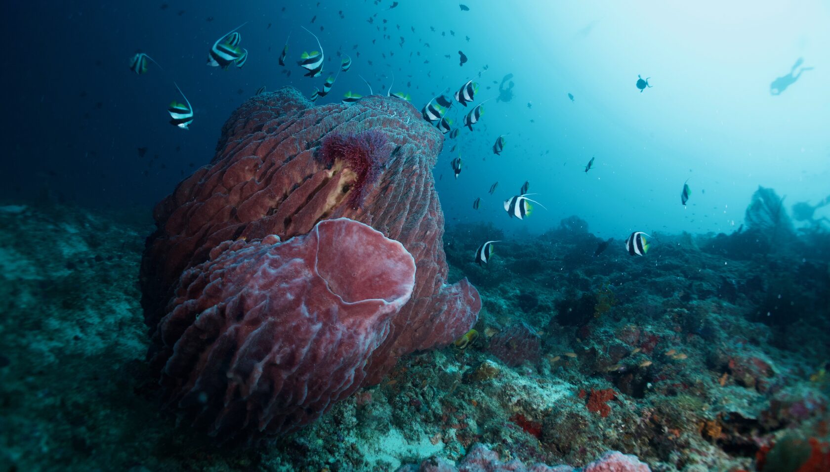 Сипадан, октябрь 2022