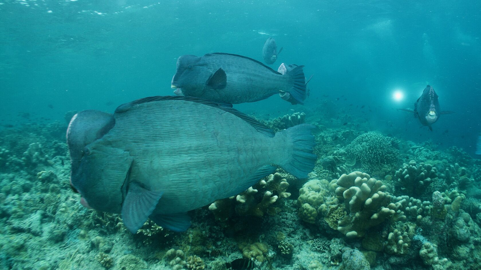 Сипадан, октябрь 2022