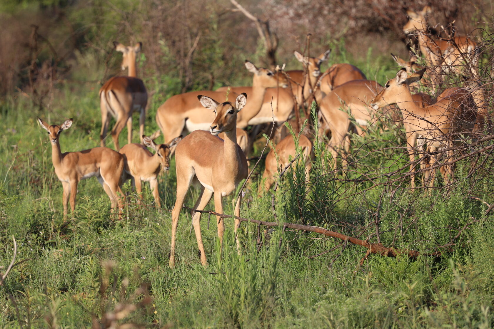 ЮАР, январь 2024