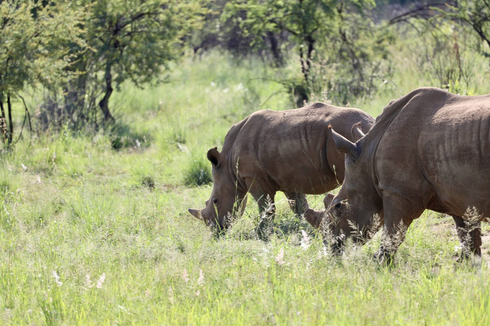 ЮАР, январь 2024