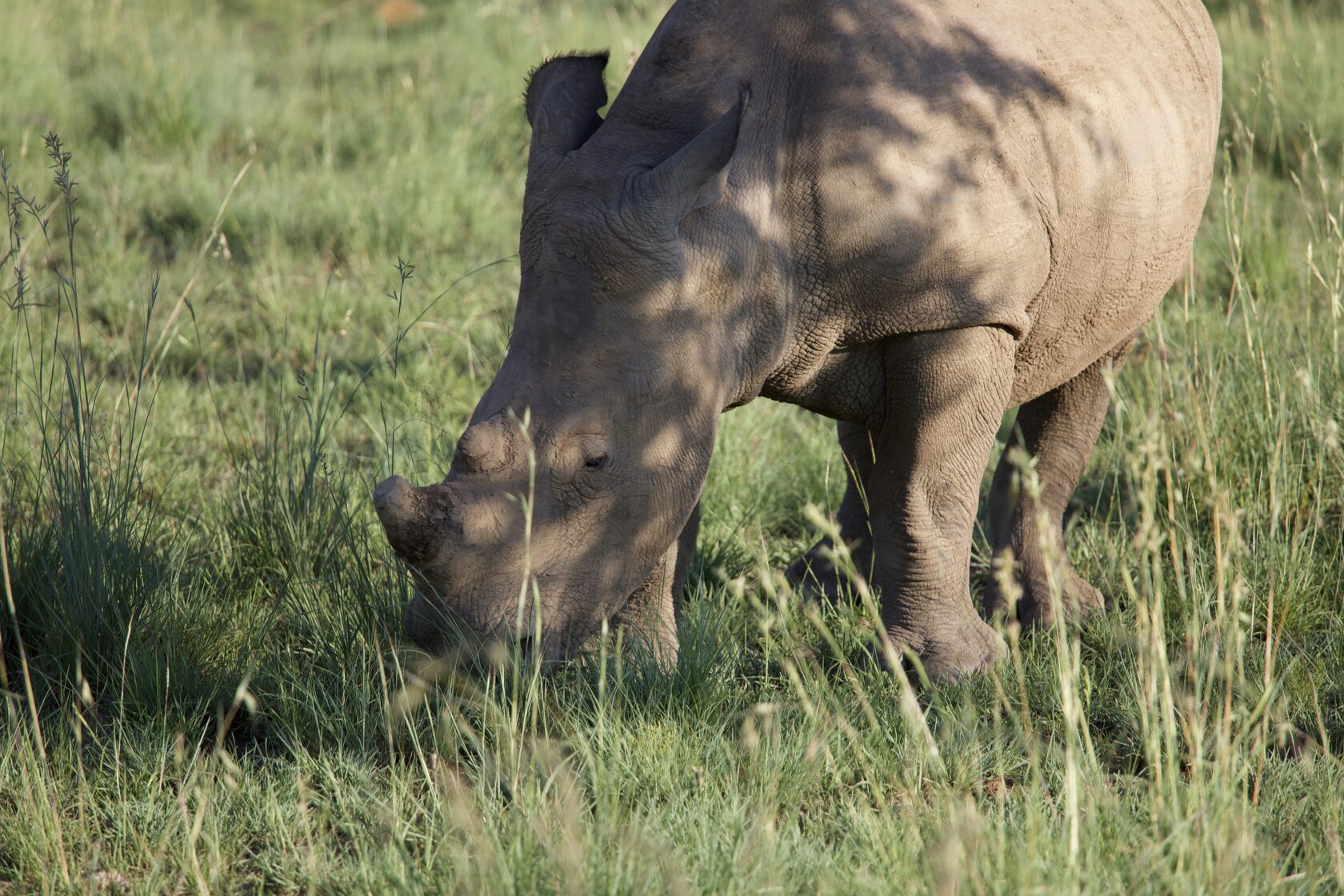 ЮАР, январь 2024