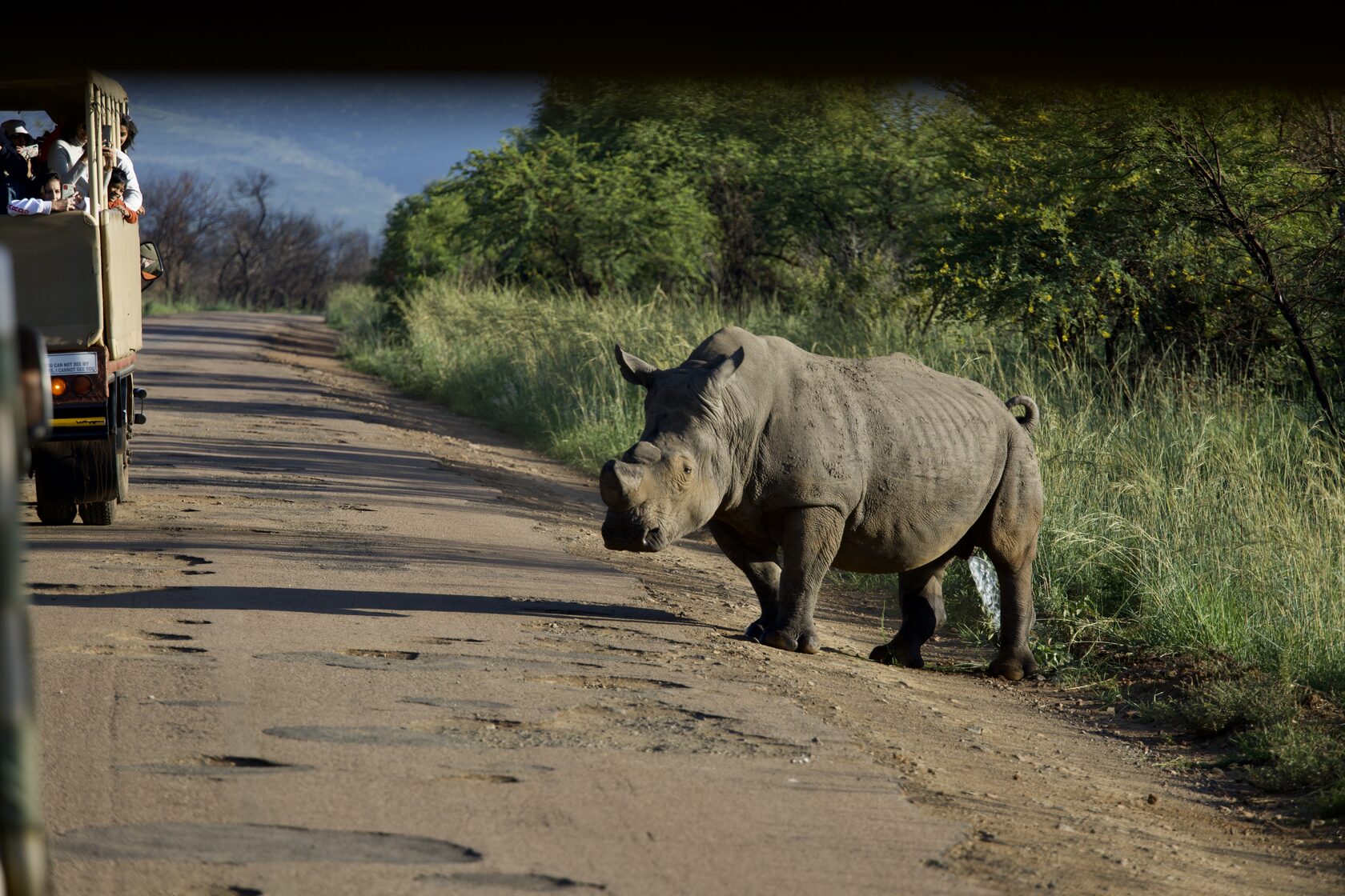 ЮАР, январь 2024