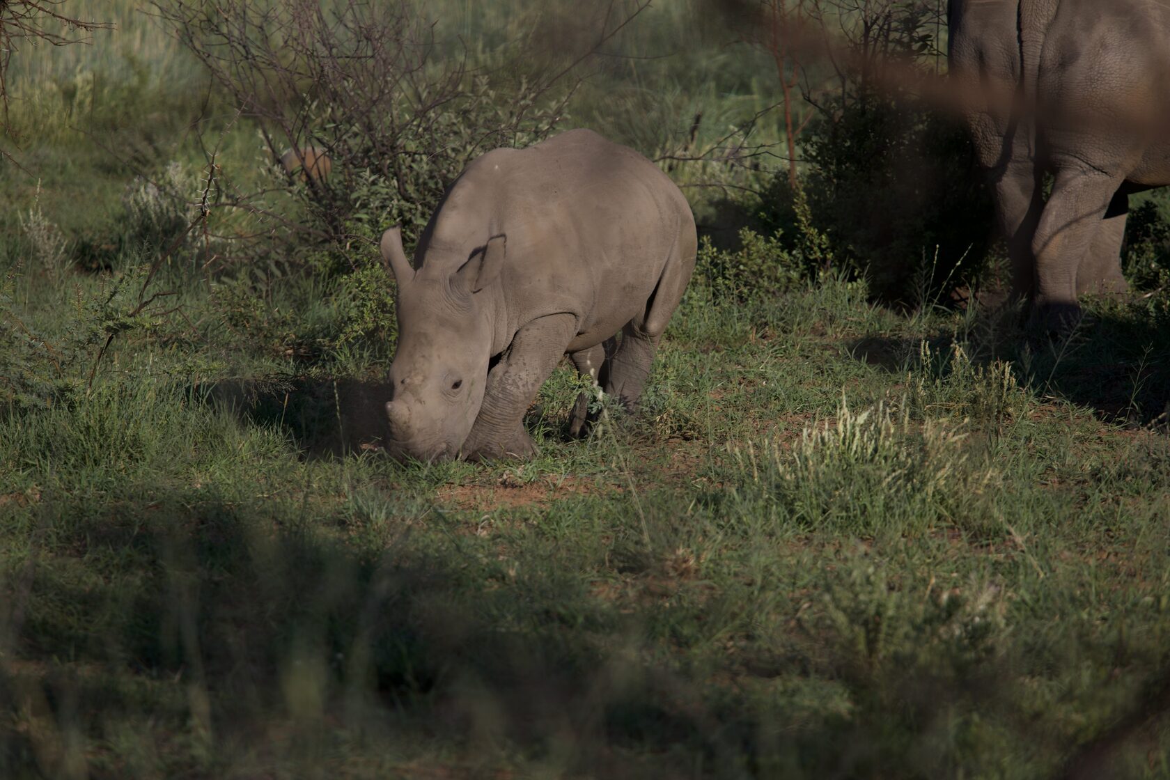 ЮАР, январь 2024