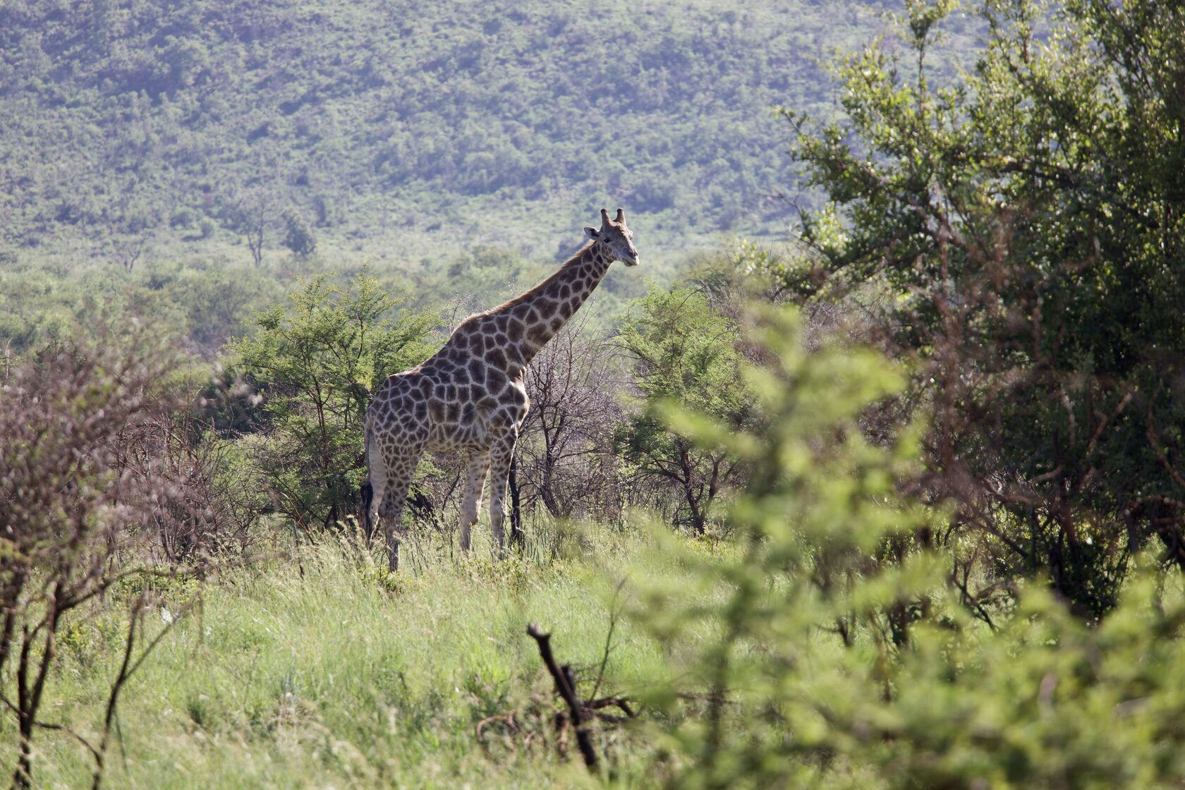 ЮАР, январь 2024