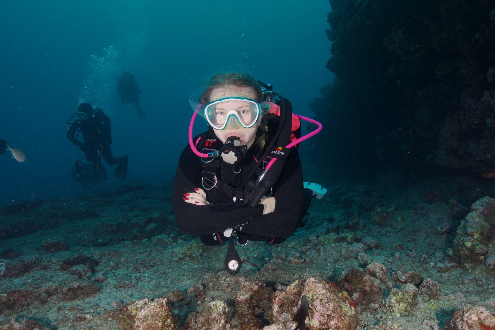 Остров св. Елены, январь 2025