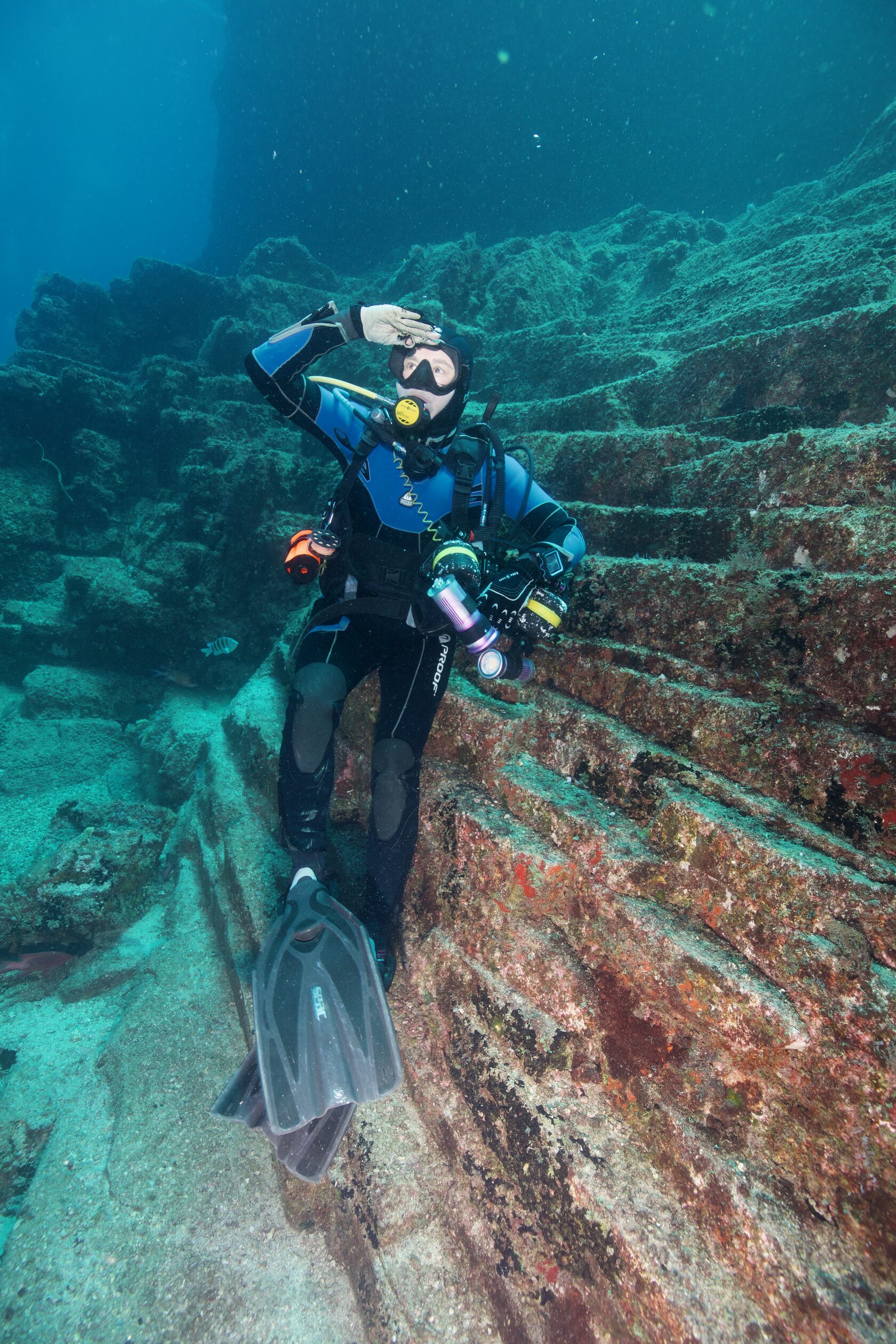 Остров св. Елены, январь 2025