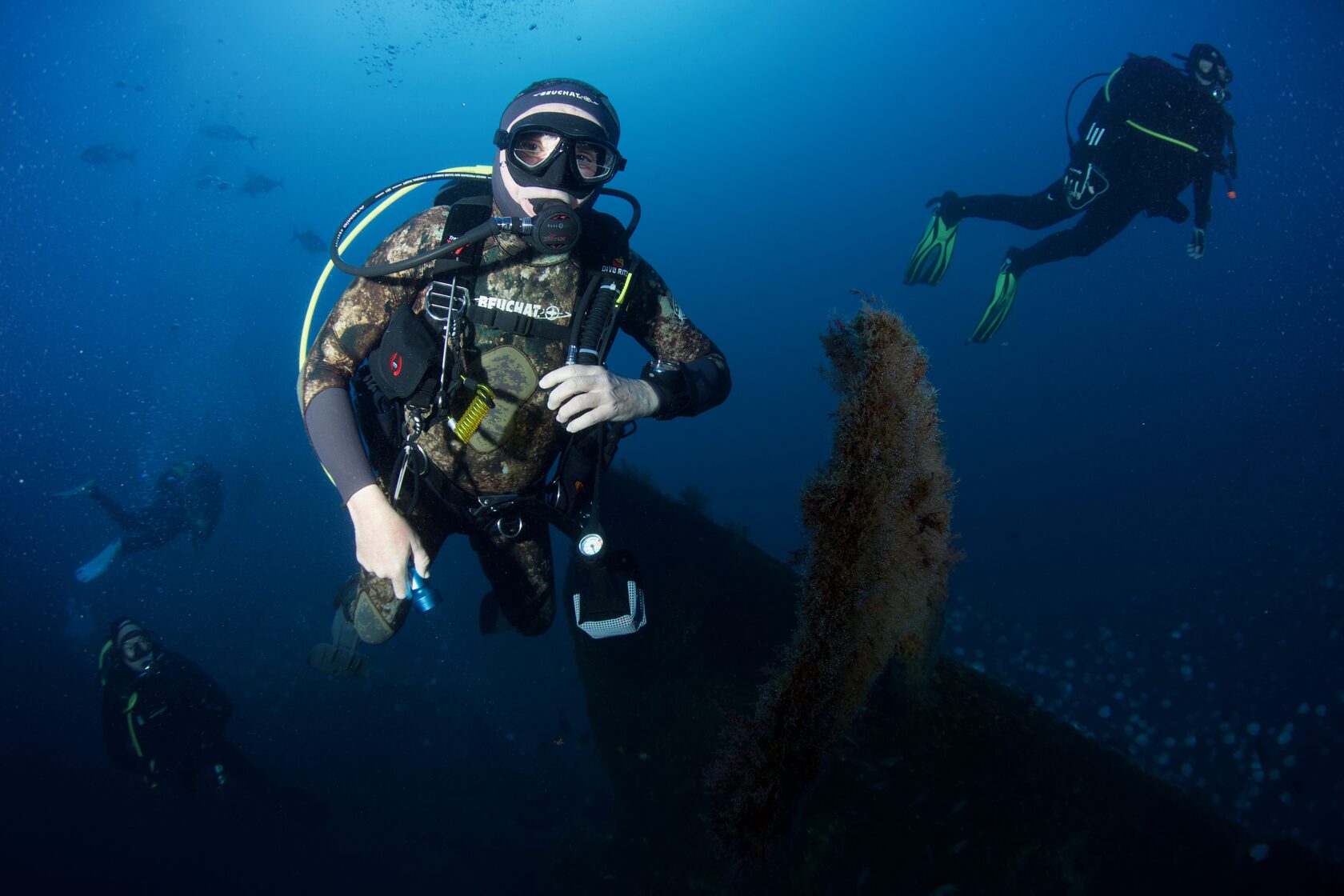 Остров св. Елены, январь 2025