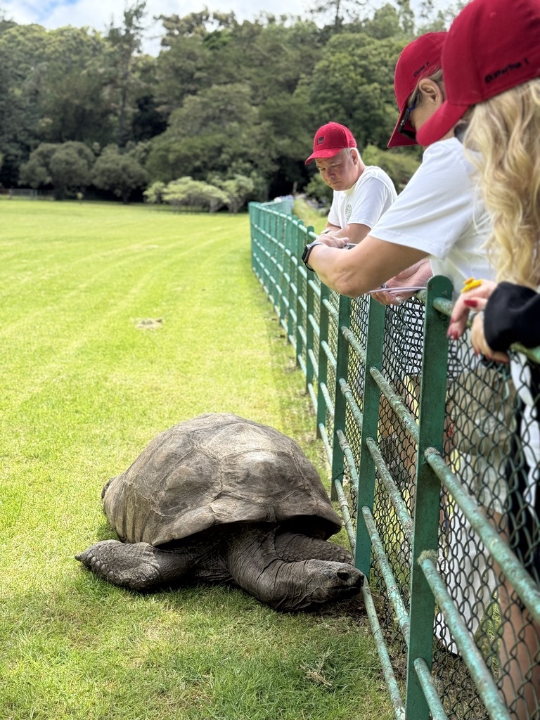 Остров св. Елены, январь 2025