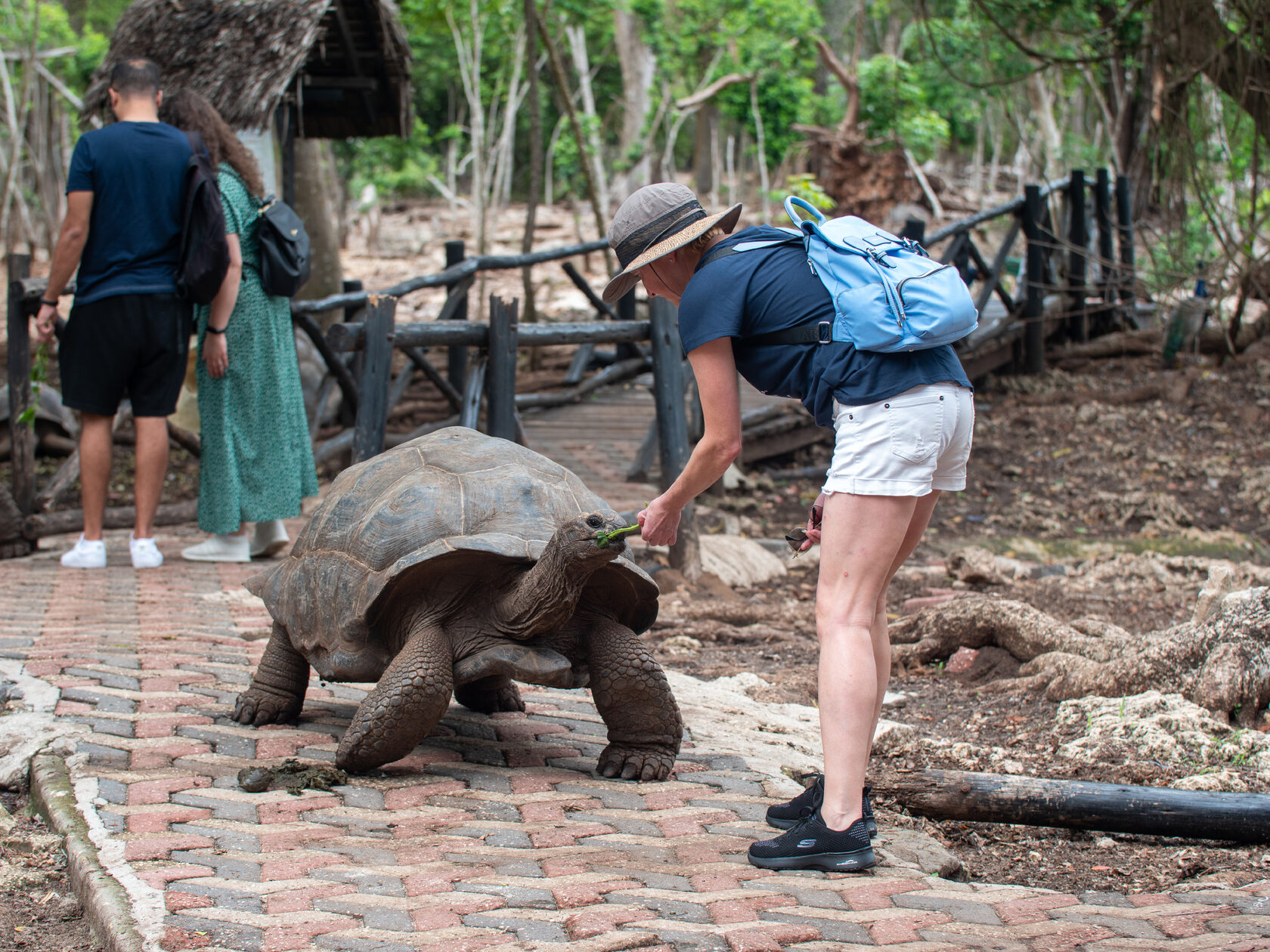 Танзания, ноябрь 2020