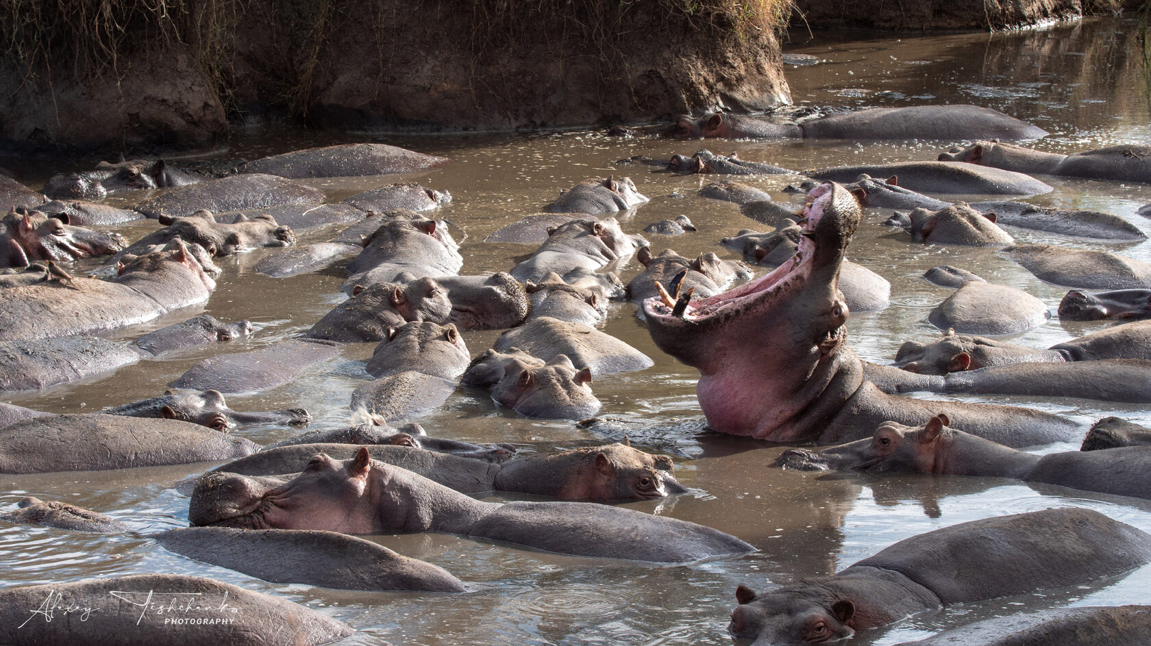 Танзания, ноябрь 2020