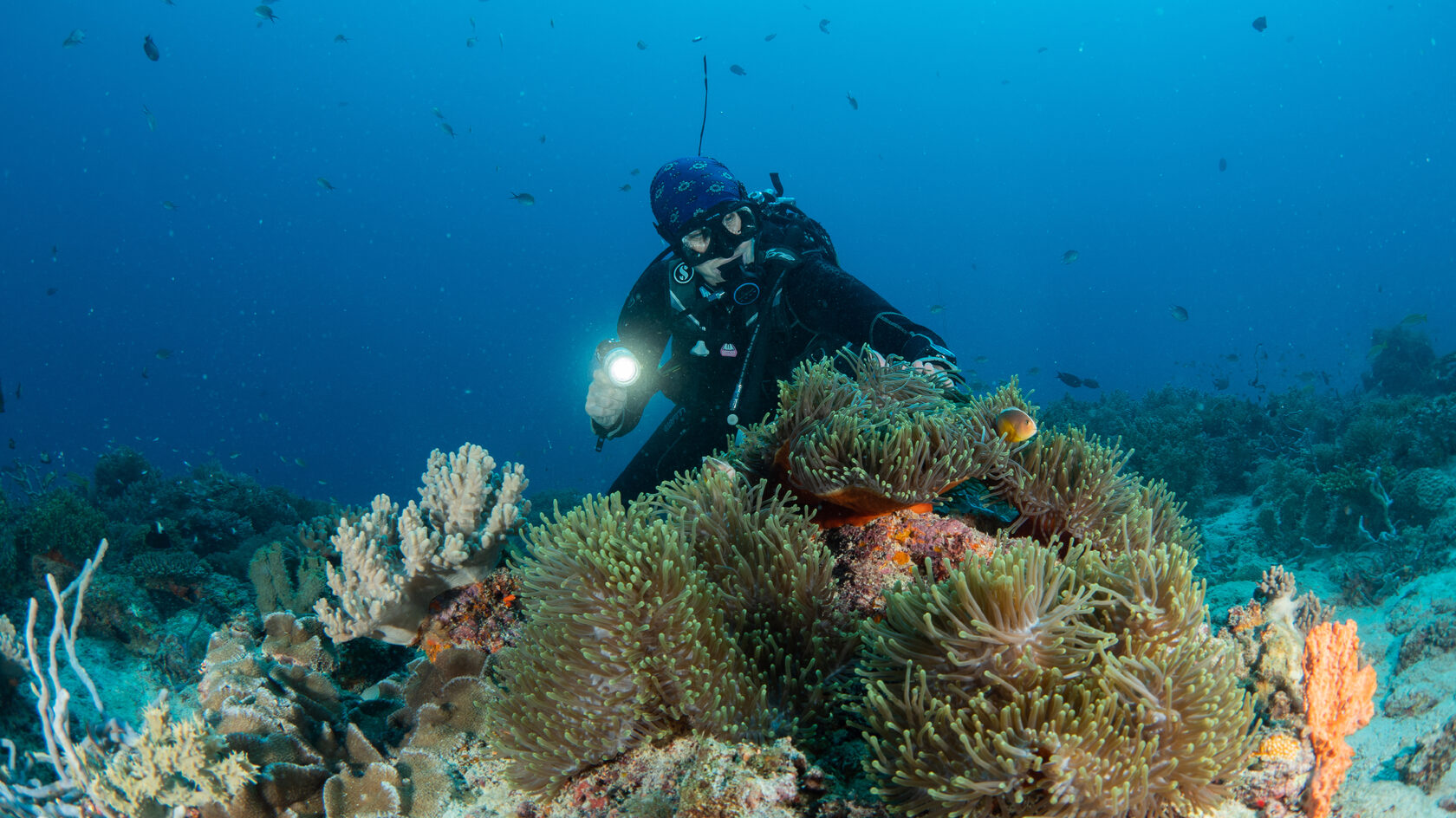 Танзания, ноябрь 2020