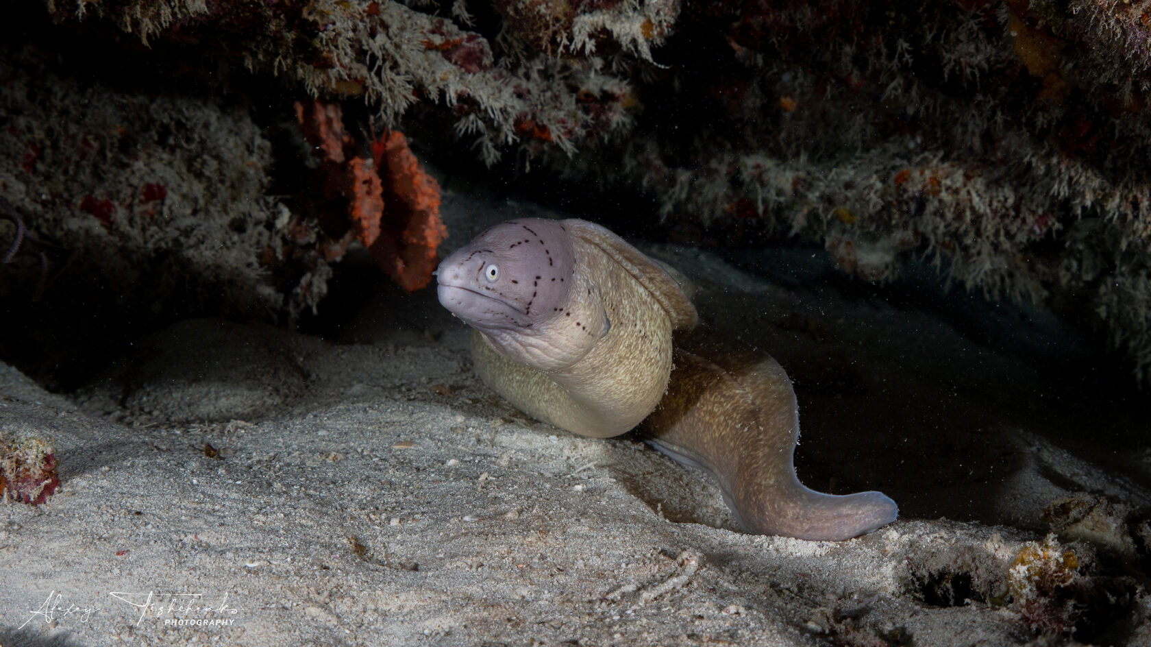 Танзания, ноябрь 2020