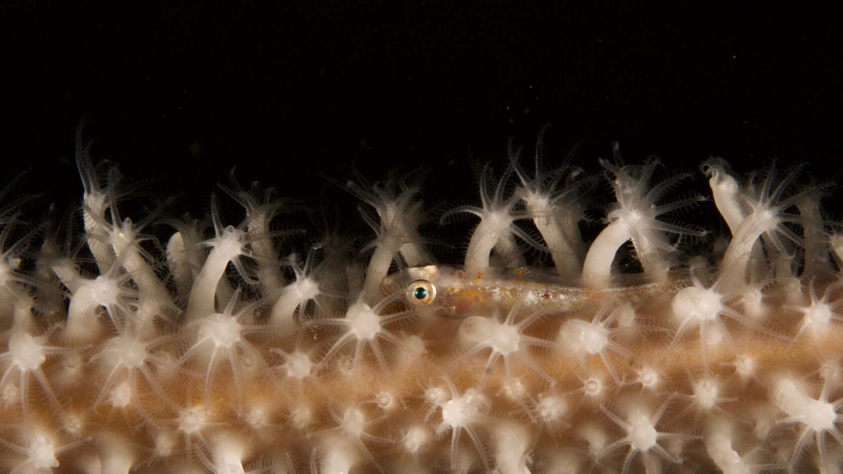 Тубботаха, май 2023