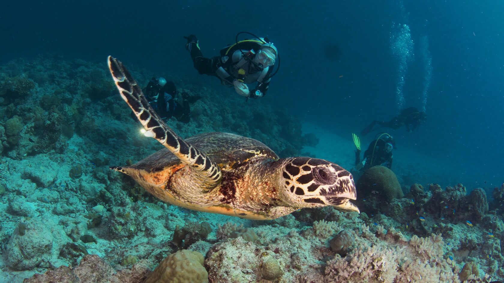 Тубботаха, май 2023