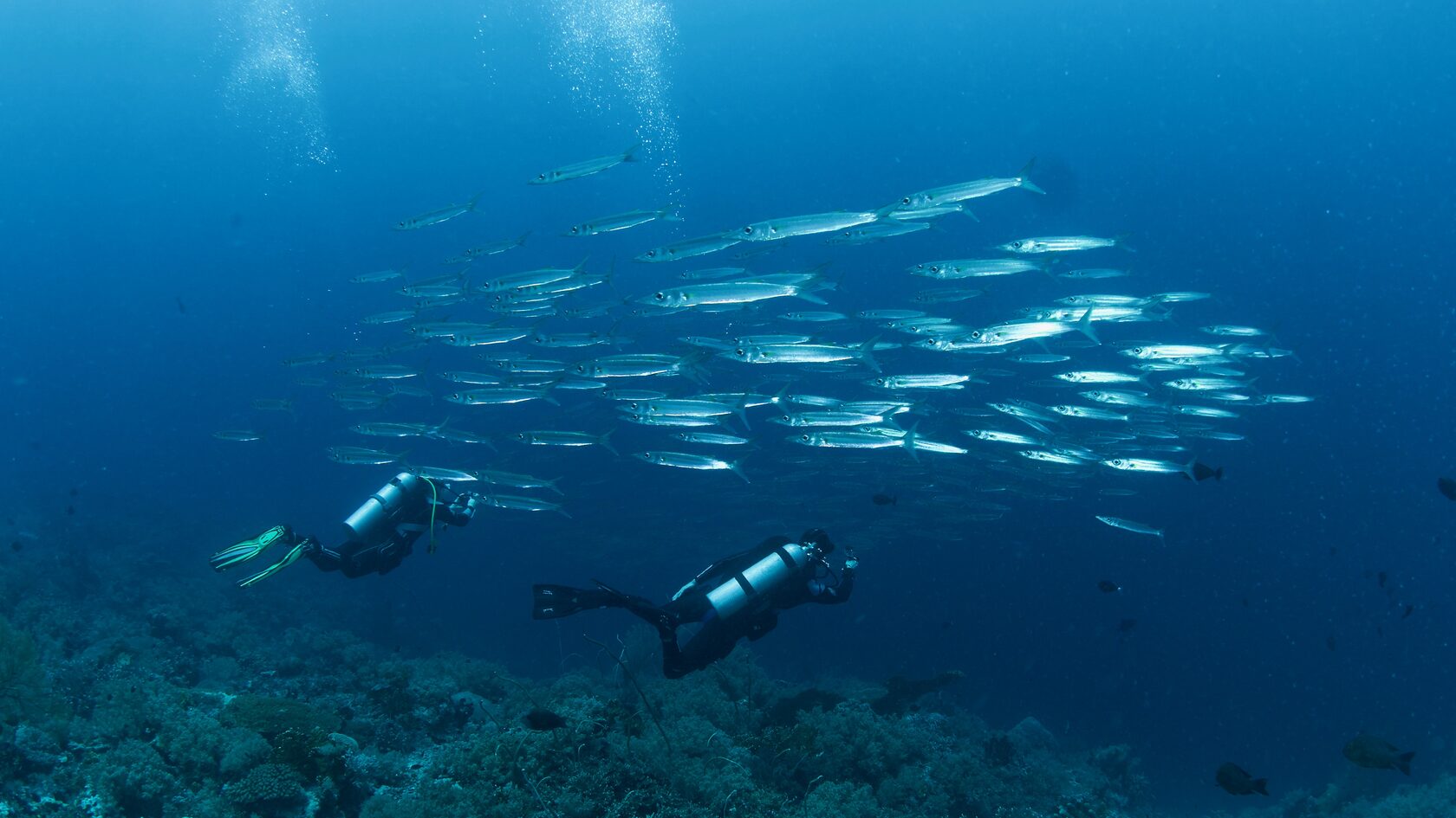 Тубботаха, май 2023