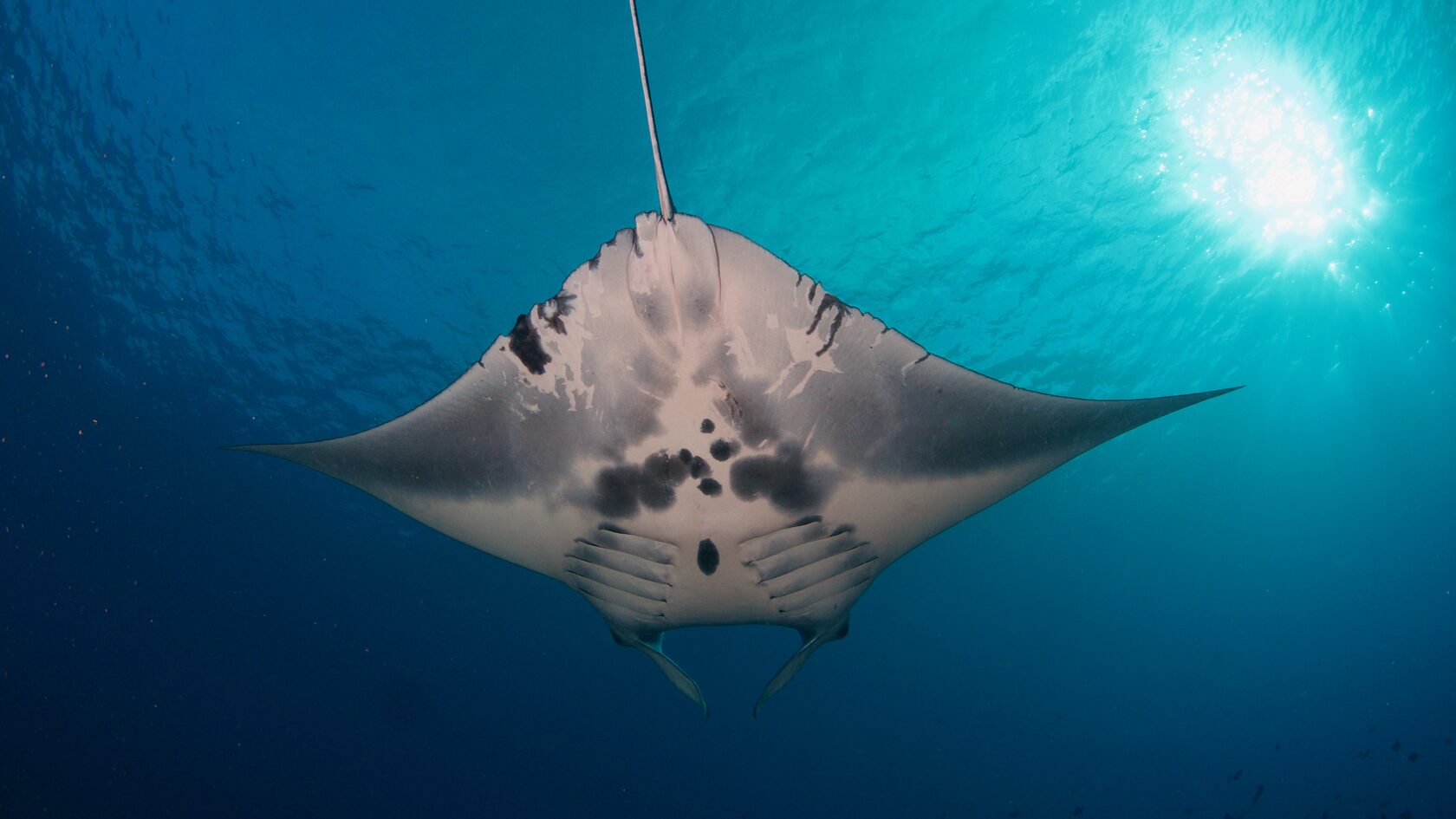 Тубботаха, май 2023