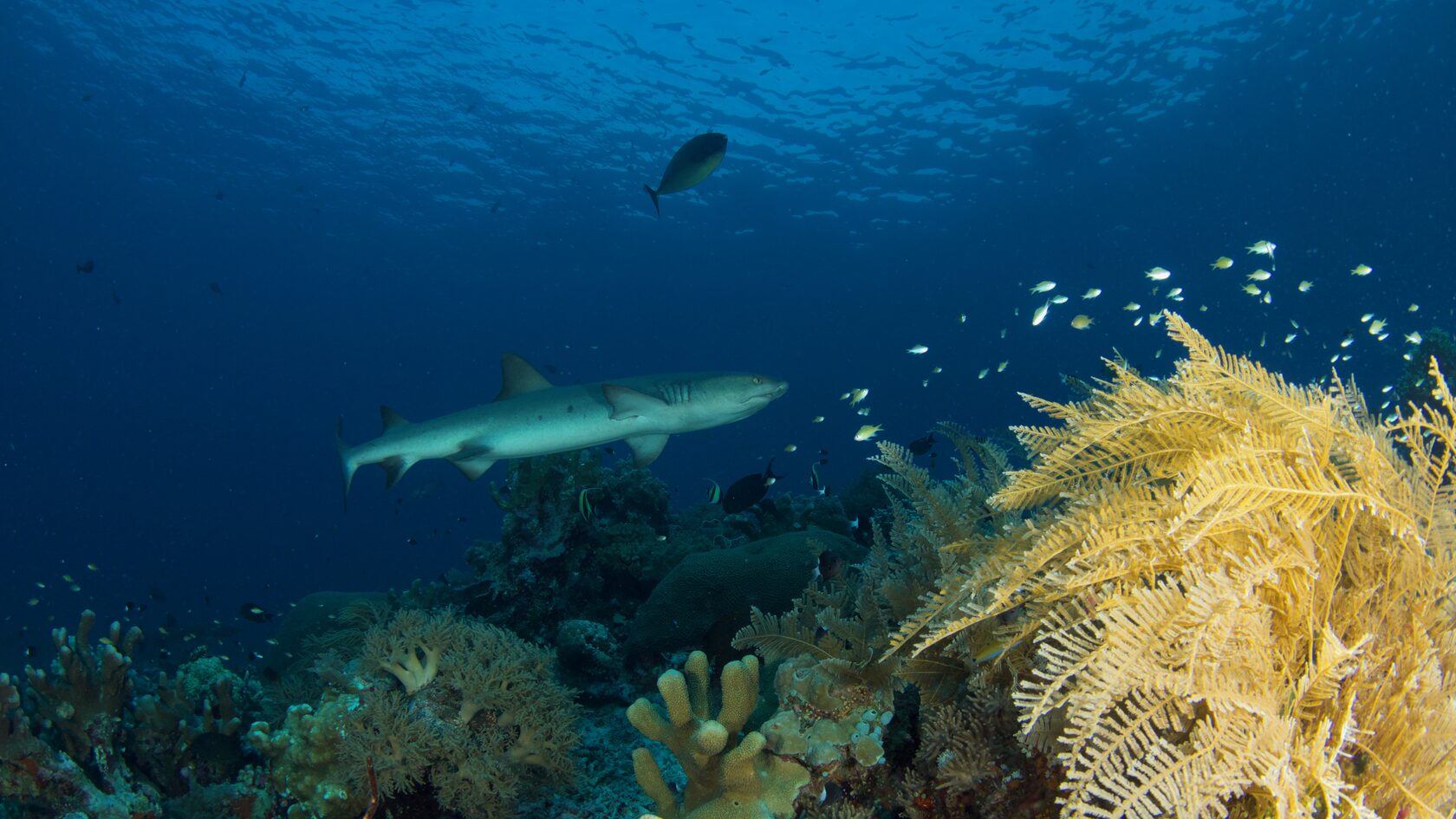 Тубботаха, май 2023