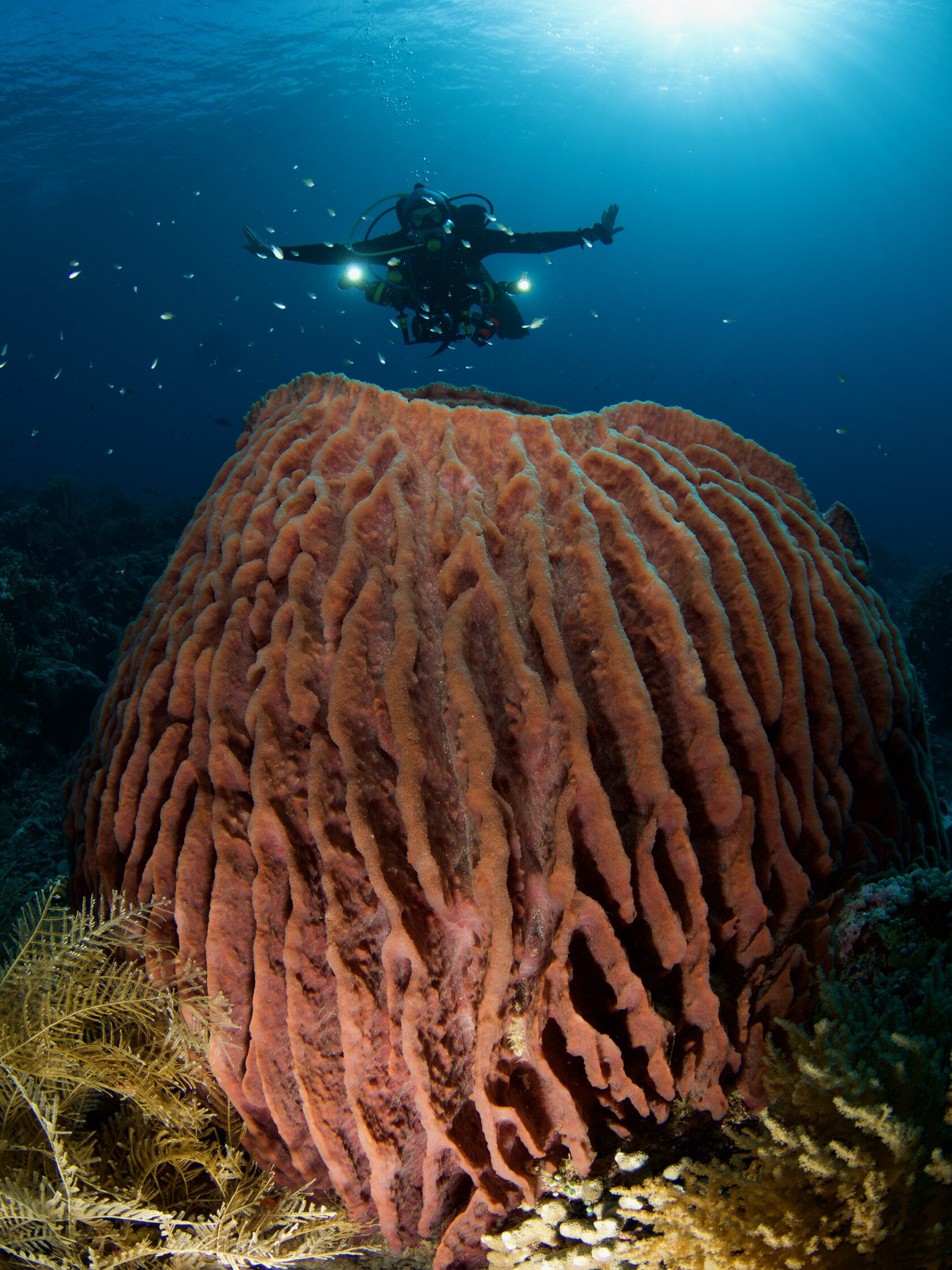 Тубботаха, май 2023