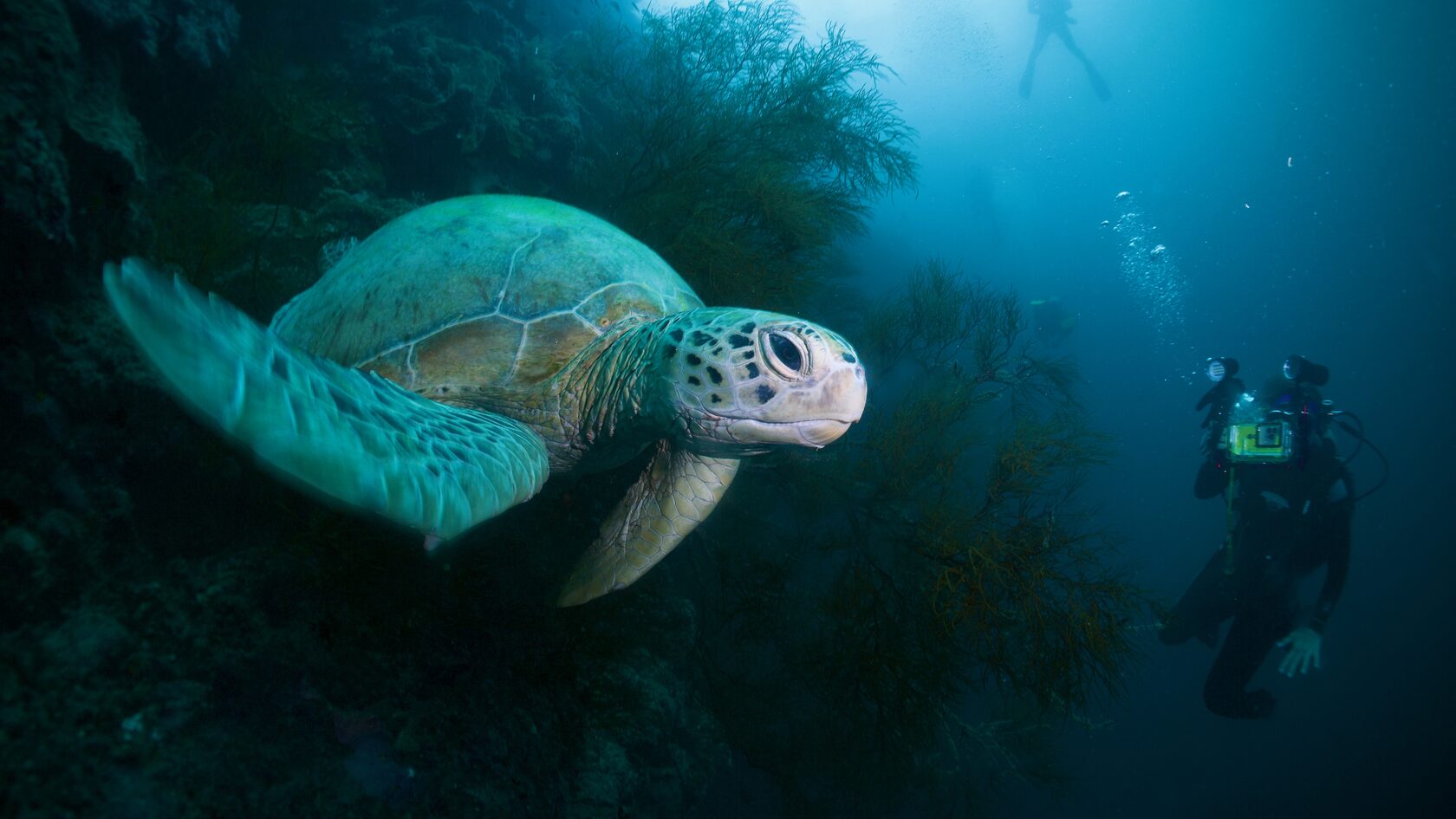 Сипадан, октябрь 2022