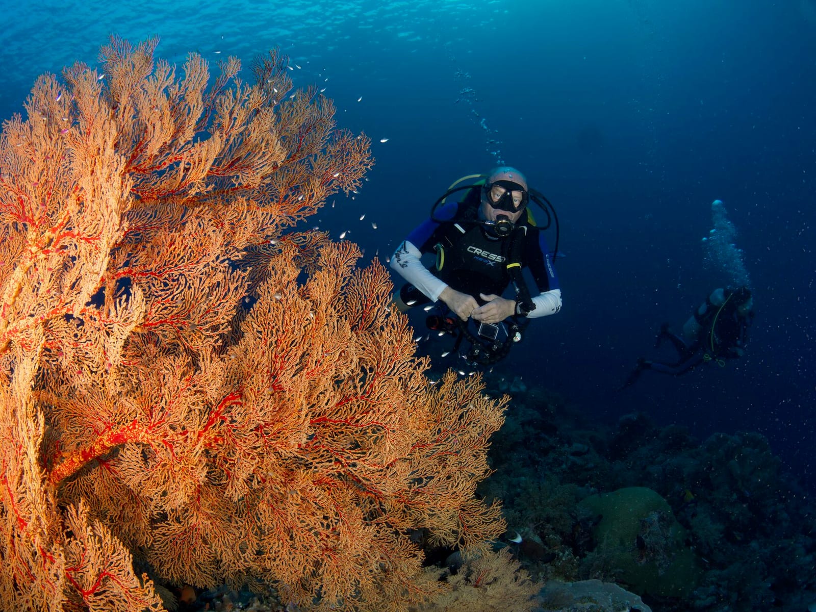 Тубботаха, май 2023